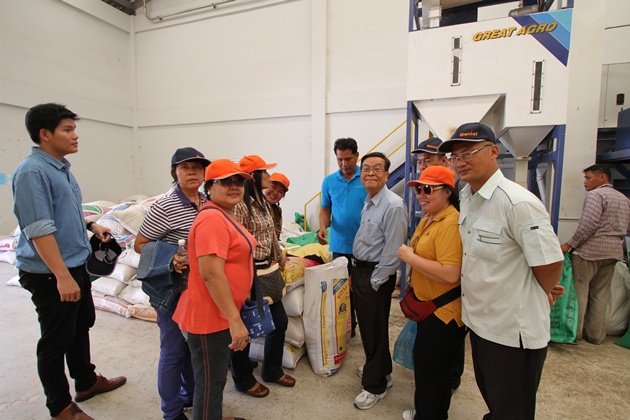 IMG 0464-10